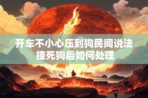 开车不小心压到狗民间说法 撞死狗后如何处理