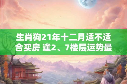 生肖狗21年十二月适不适合买房 逢2、7楼层运势最好