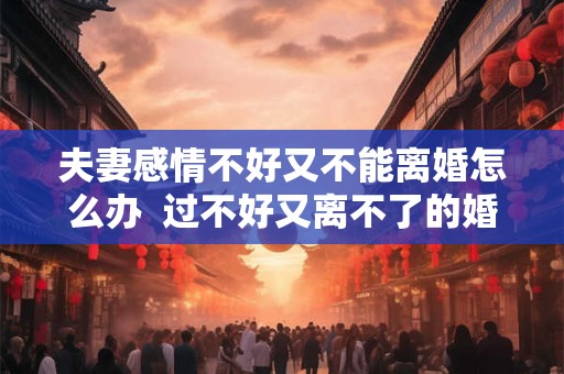 夫妻感情不好又不能离婚怎么办  过不好又离不了的婚姻该怎么办