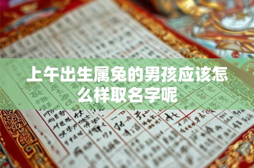 上午出生属兔的男孩应该怎么样取名字呢