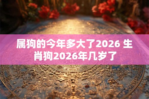 属狗的今年多大了2026 生肖狗2026年几岁了