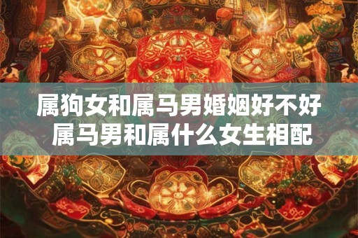 属狗女和属马男婚姻好不好 属马男和属什么女生相配