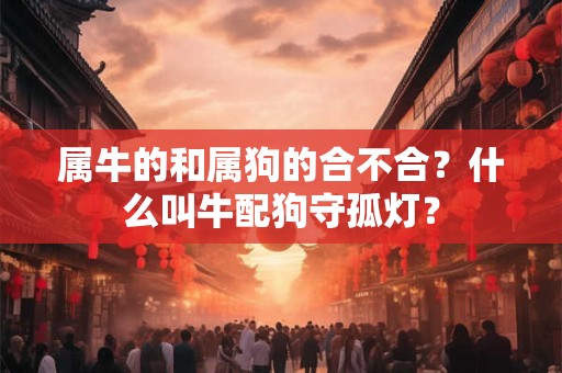 属牛的和属狗的合不合？什么叫牛配狗守孤灯？