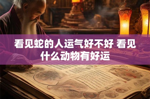 看见蛇的人运气好不好 看见什么动物有好运