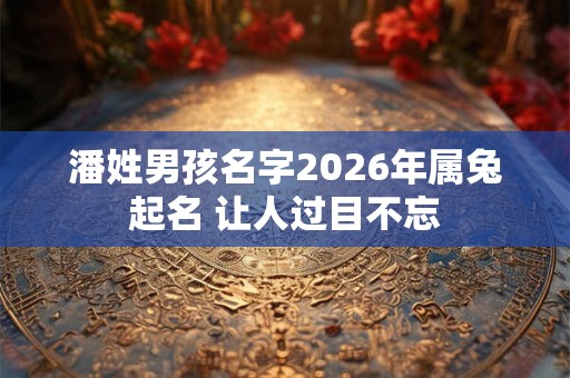 潘姓男孩名字2026年属兔起名 让人过目不忘 潘姓男孩名字2026年属兔起名 让人过目不忘