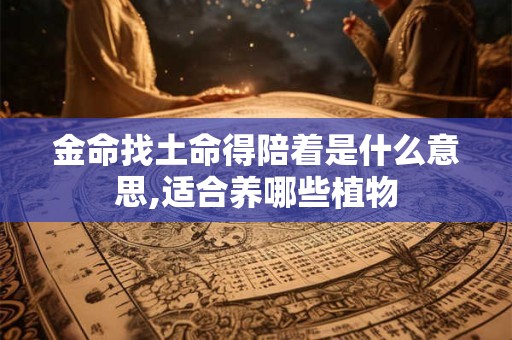 金命找土命得陪着是什么意思,适合养哪些植物