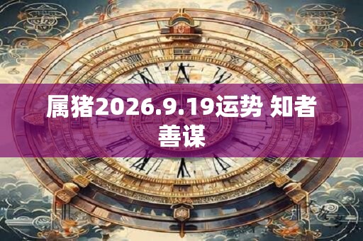 属猪2026.9.19运势 知者善谋