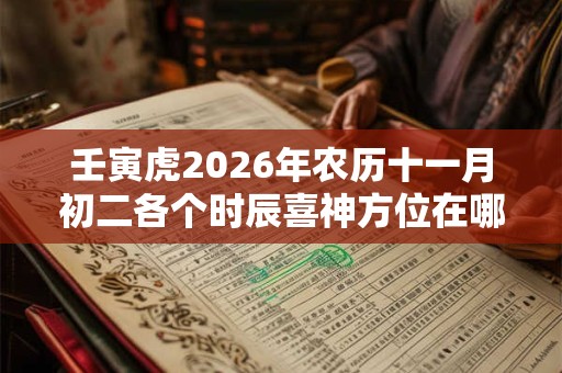 壬寅虎2026年农历十一月初二各个时辰喜神方位在哪？
