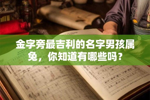 金字旁最吉利的名字男孩属兔，你知道有哪些吗？