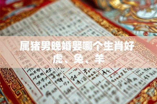 属猪男晚婚娶哪个生肖好 虎、兔、羊