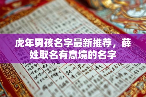 虎年男孩名字最新推荐，薛姓取名有意境的名字