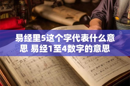 易经里5这个字代表什么意思 易经1至4数字的意思