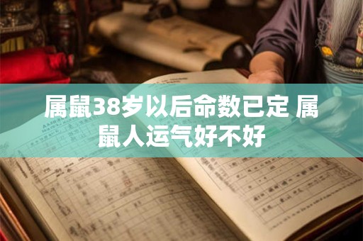 属鼠38岁以后命数已定 属鼠人运气好不好