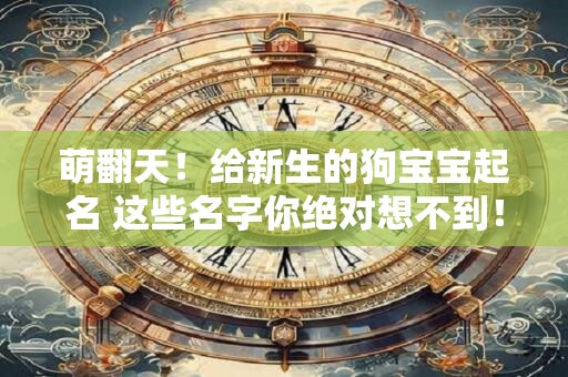 萌翻天！给新生的狗宝宝起名 这些名字你绝对想不到！
