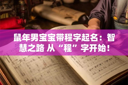 鼠年男宝宝带程字起名：智慧之路 从“程”字开始！