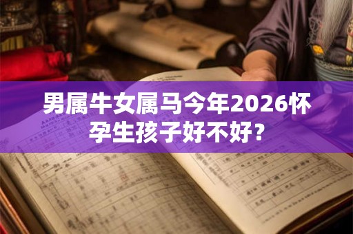男属牛女属马今年2026怀孕生孩子好不好？