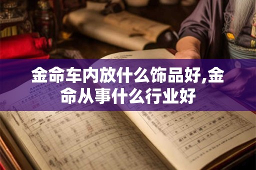 金命车内放什么饰品好,金命从事什么行业好