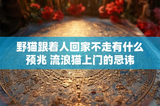 野猫跟着人回家不走有什么预兆 流浪猫上门的忌讳