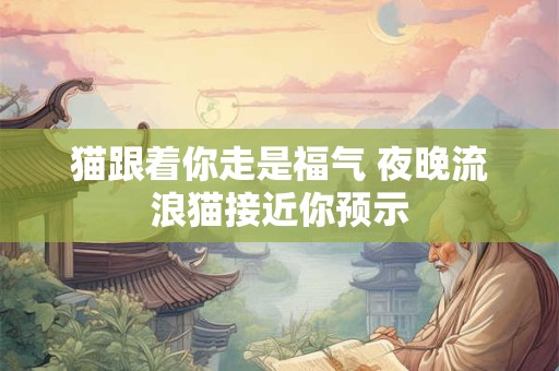 猫跟着你走是福气 夜晚流浪猫接近你预示