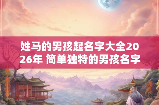姓马的男孩起名字大全2026年 简单独特的男孩名字