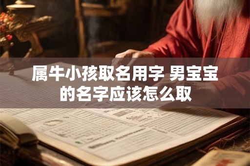 属牛小孩取名用字 男宝宝的名字应该怎么取