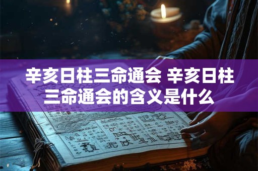 辛亥日柱三命通会 辛亥日柱三命通会的含义是什么