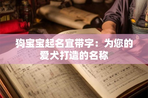 狗宝宝起名宜带字：为您的爱犬打造的名称