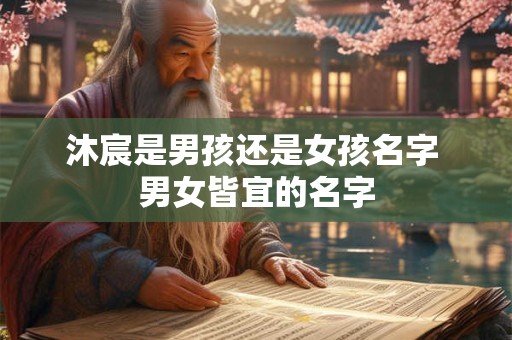 沐宸是男孩还是女孩名字 男女皆宜的名字