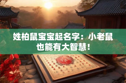 姓柏鼠宝宝起名字：小老鼠也能有大智慧！