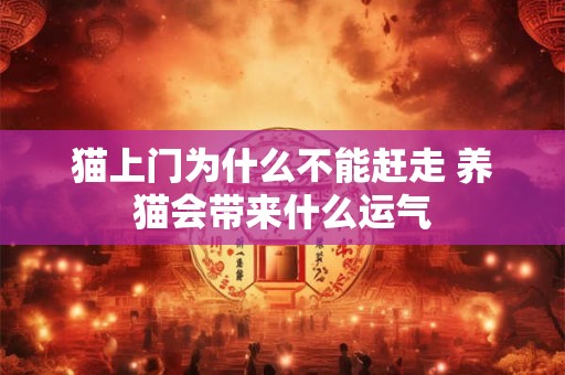 猫上门为什么不能赶走 养猫会带来什么运气