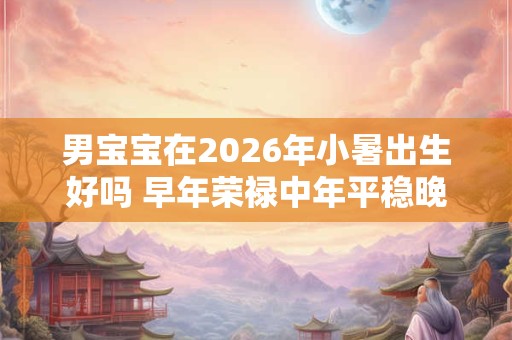 男宝宝在2026年小暑出生好吗 早年荣禄中年平稳晚年享福