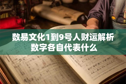 数易文化1到9号人财运解析 数字各自代表什么