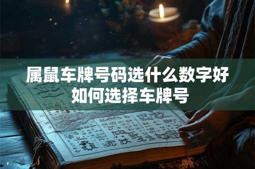 属鼠车牌号码选什么数字好 如何选择车牌号