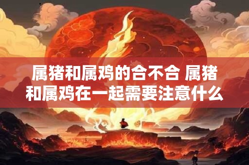 属猪和属鸡的合不合 属猪和属鸡在一起需要注意什么