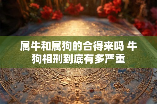 属牛和属狗的合得来吗 牛狗相刑到底有多严重