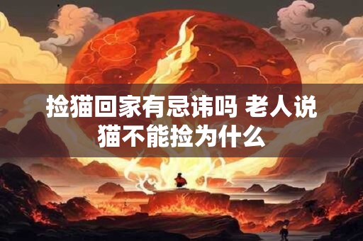 捡猫回家有忌讳吗 老人说猫不能捡为什么