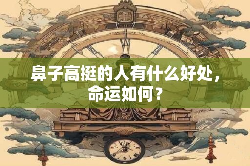 鼻子高挺的人有什么好处，命运如何？