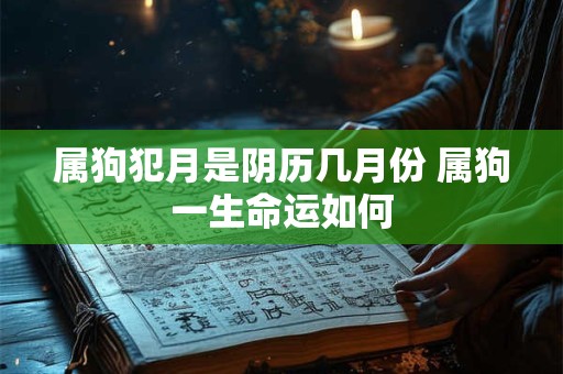 属狗犯月是阴历几月份 属狗一生命运如何 属狗犯月是阴历几月份 属狗一生命运如何