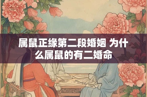 属鼠正缘第二段婚姻 为什么属鼠的有二婚命