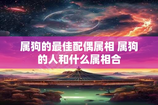 属狗的最佳配偶属相 属狗的人和什么属相合