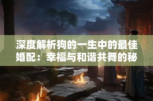 深度解析狗的一生中的最佳婚配：幸福与和谐共舞的秘诀！