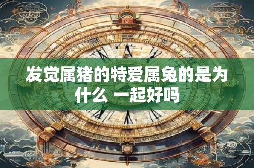 发觉属猪的特爱属兔的是为什么 一起好吗 发觉属猪的特爱属兔的是为什么 一起好吗