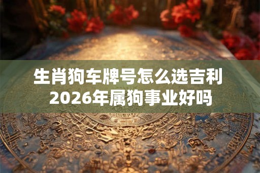 生肖狗车牌号怎么选吉利 2026年属狗事业好吗