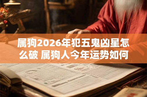属狗2026年犯五鬼凶星怎么破 属狗人今年运势如何