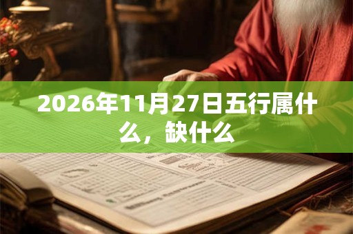 2026年11月27日五行属什么，缺什么