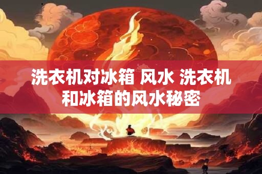 洗衣机对冰箱 风水 洗衣机和冰箱的风水秘密