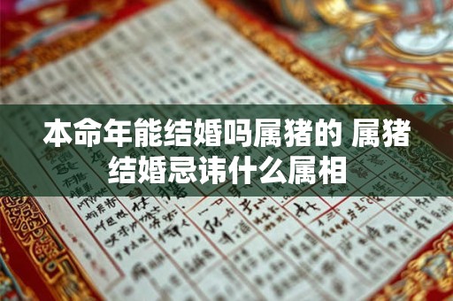 本命年能结婚吗属猪的 属猪结婚忌讳什么属相