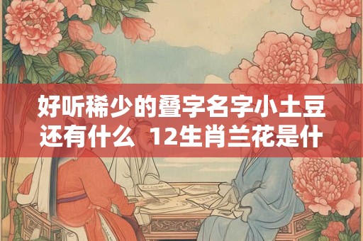好听稀少的叠字名字小土豆还有什么  12生肖兰花是什么生肖