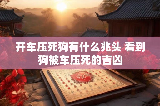 开车压死狗有什么兆头 看到狗被车压死的吉凶