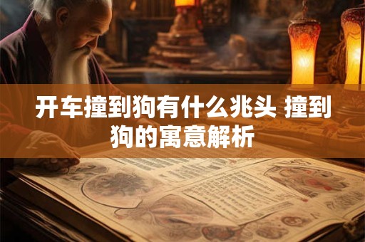 开车撞到狗有什么兆头 撞到狗的寓意解析 开车撞到狗有什么兆头 撞到狗的寓意解析